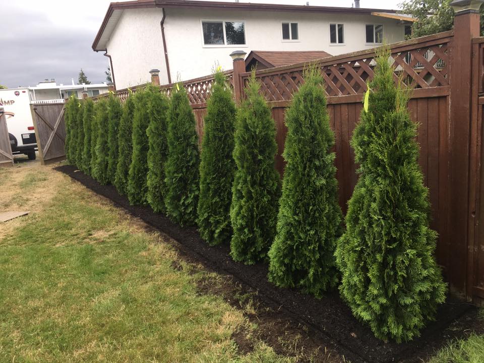 Landscaping Surrey