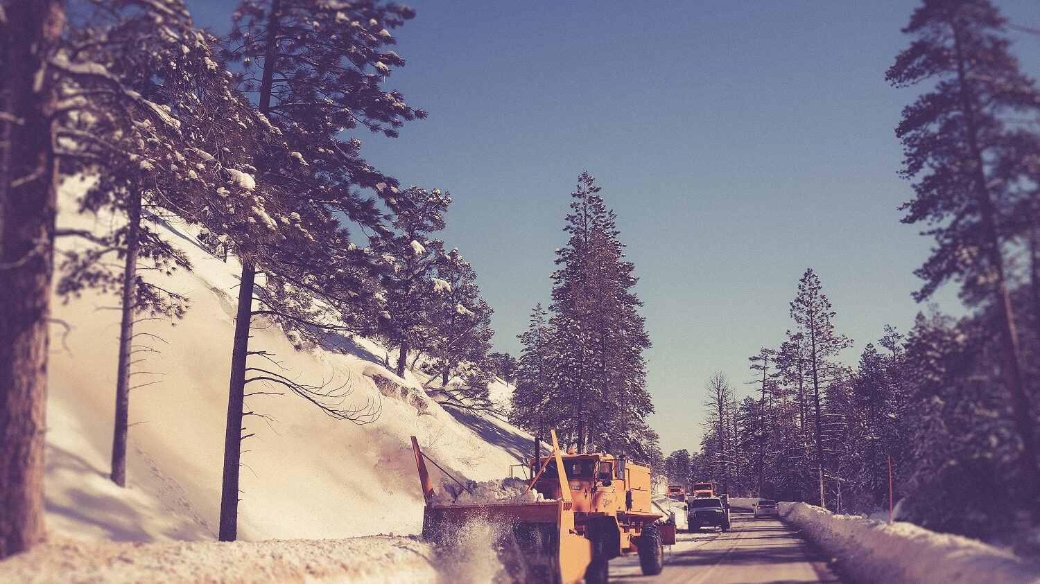 Landscaping and snow removal companies